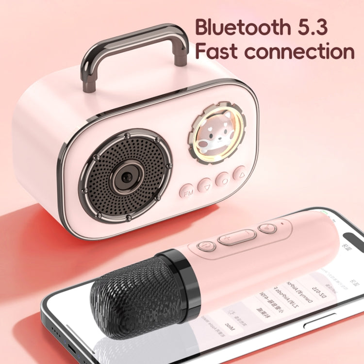 HiFi Bluetooth 5.3 Speaker Support FM, with 2 x Microphone(Pink) - Desktop Speaker by buy2fix | Online Shopping UK | buy2fix