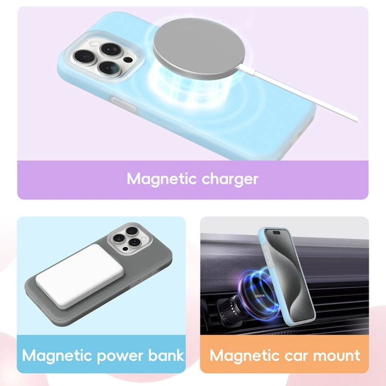 For iPhone 16 Pro Jelly Liquid Silicone MagSafe Magnetic Phone Case(Berry Powder) - iPhone 16 Pro Cases by buy2fix | Online Shopping UK | buy2fix