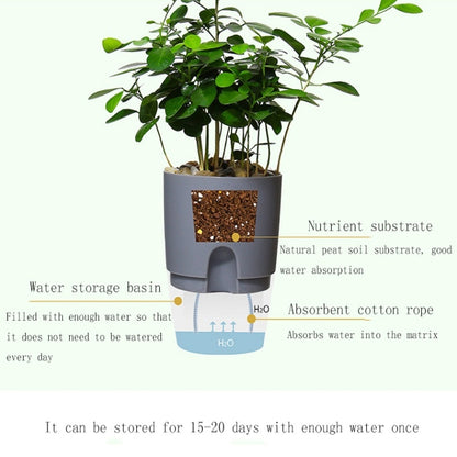 Transparent Plastic Double-Layer Water Storage Automatic Water-Absorbing Flowerpot, Size: A703 Caliber 8.2cm(White Transparent Basin) - Flower Pots & Planters by buy2fix | Online Shopping UK | buy2fix