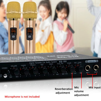 EQ-819 Car Audio Equalizer EQ Tuning Crossover Amplifier Supports Dual Microphone Input Reverberation Adjustment - Car Amplifiers by buy2fix | Online Shopping UK | buy2fix