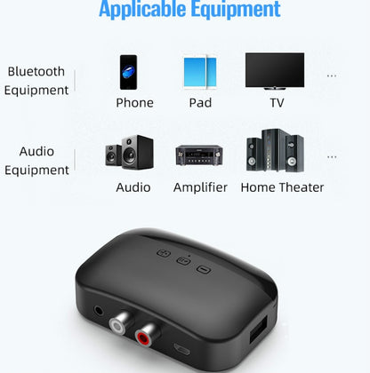 B20 NFC Bluetooth 5.0 Music Receiver Car Bluetooth Receiver, Support Hands-free Call & TF Vard & U Disk - Apple Accessories by buy2fix | Online Shopping UK | buy2fix