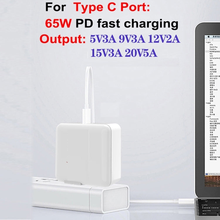 GaN 100W Dual USB + Dual USB-C/Type-C Multi Port Charger with 2m Type-C to Type-C Data Cable Set US / AU Plug - Cable & Adapter by buy2fix | Online Shopping UK | buy2fix