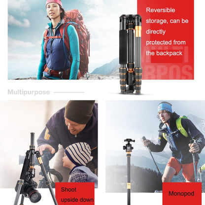 QingZhuangShiDai Q666C Portable Travel Photography Ball Head SLR Camera Carbon Fiber Tripod(Black) - Camera Accessories by QingZhuangShiDai | Online Shopping UK | buy2fix