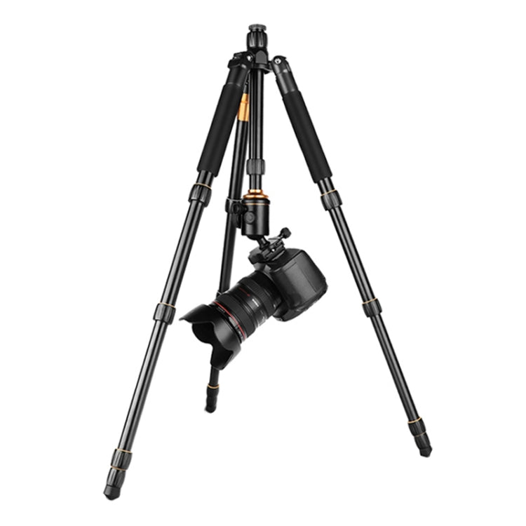 QingZhuangShiDai Q666 Portable Travel SLR Camera Aluminum Magnesium Alloy Tripod(Black) - Camera Accessories by QingZhuangShiDai | Online Shopping UK | buy2fix